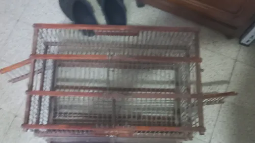 Cage oiseau couplage