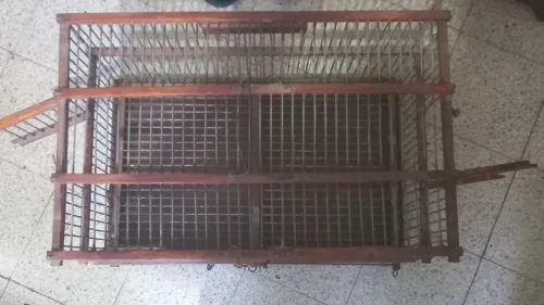 Cage oiseau couplage