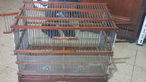 Cage oiseau couplage