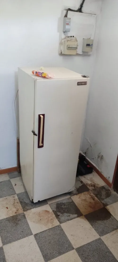 Frigo eniem