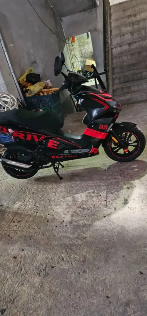 VMS RR 2022