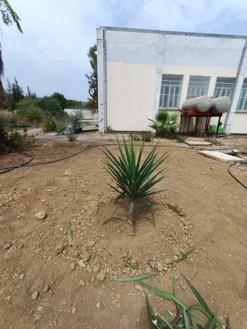 Aménagement des espaces verts