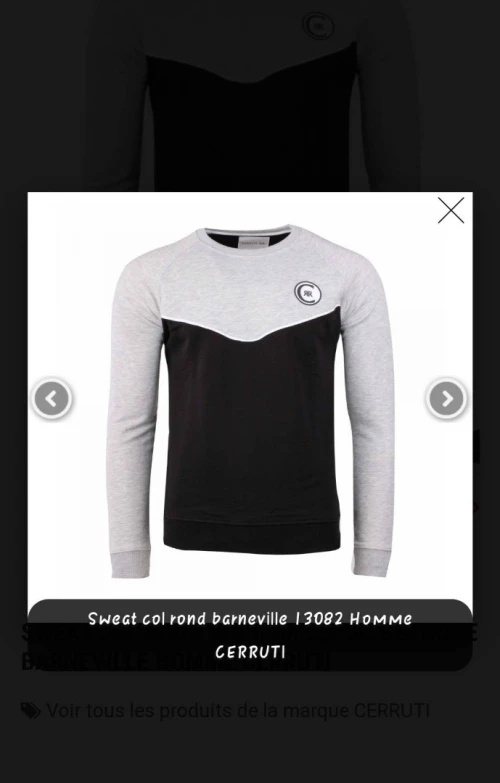 Vêtements pour homme d'origine  d'une marque italienne Cerruti