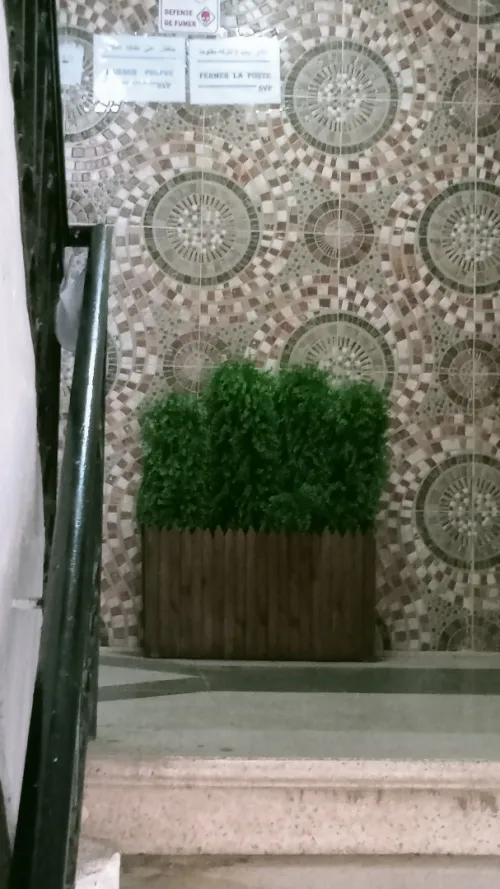 Location Appartement F3 Alger Baba hassen