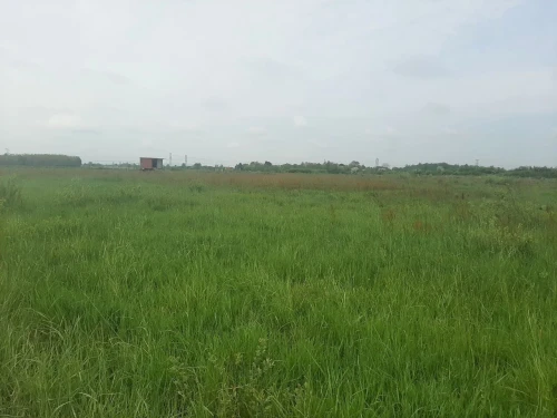 Location Terrain Agricole Ain Ain
