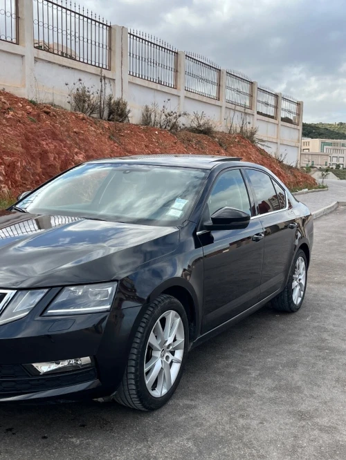 Skoda Octavia 2019 Clever