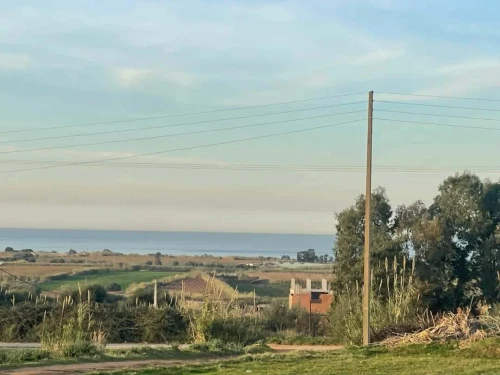 Vente Terrain Boumerdès Zemmouri