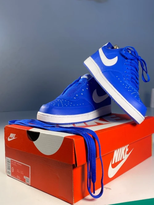 Nike court vision 