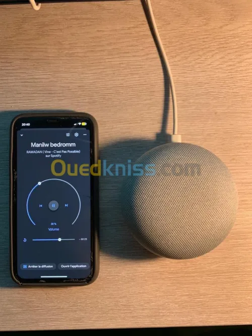 GOOGLE HOME 