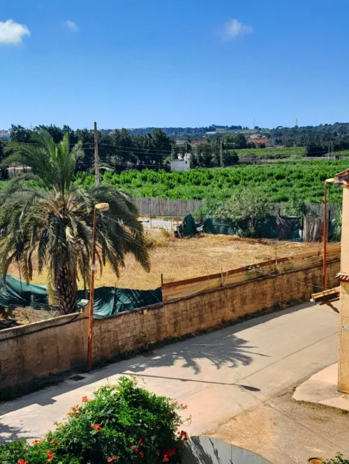 Vente Terrain Alger Rouiba