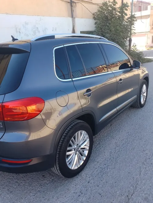 Volkswagen Tiguan 2015 Cup