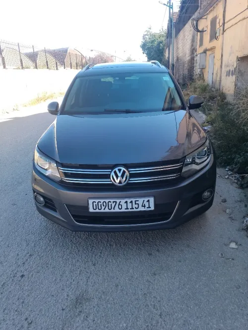Volkswagen Tiguan 2015 Cup