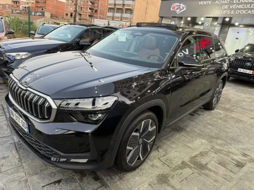 Skoda kODIAQ 2025 KODIAQ 4*4