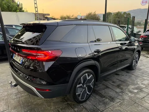Skoda kODIAQ 2025 KODIAQ 4*4