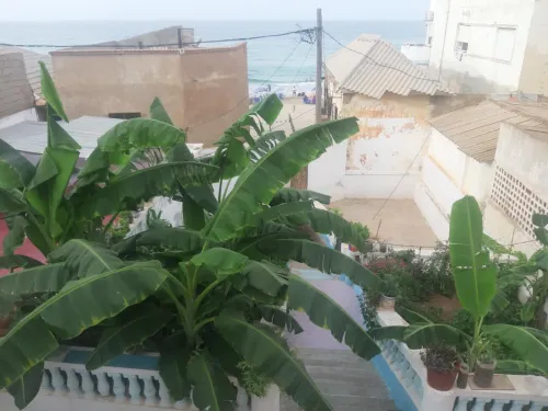 Location vacances Villa Oran Ain el turck