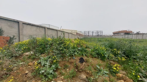 Vente Terrain Boumerdès Ouled moussa