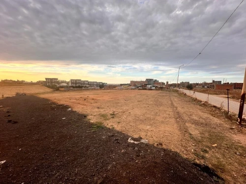 Vente Terrain Boumerdès Ouled moussa