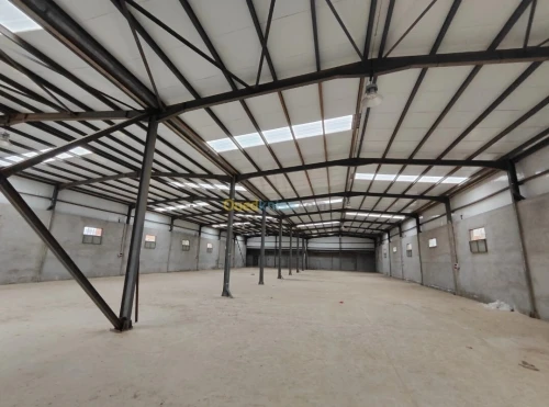 Location Hangar - Usine Boumerdès Khemis el khechna