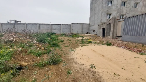 Vente Terrain Boumerdès Ouled moussa