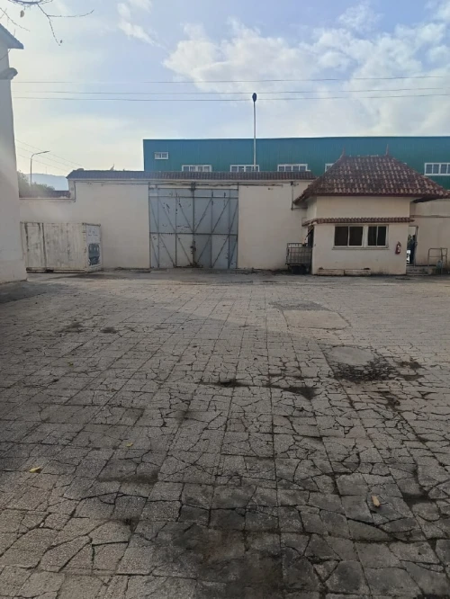 Location Hangar - Usine Blida Blida