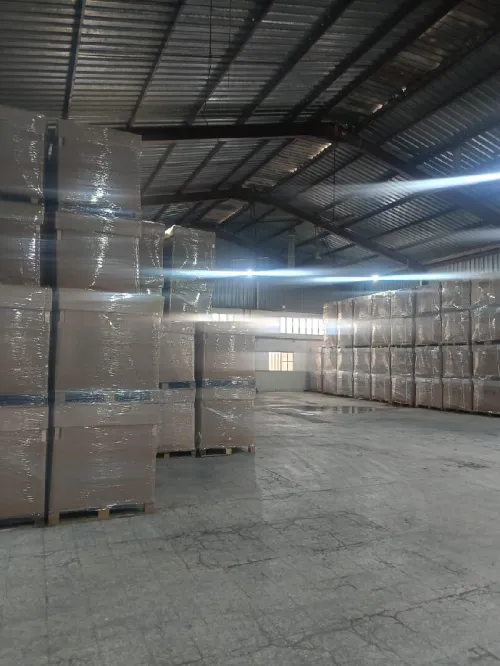 Location Hangar - Usine Blida Blida