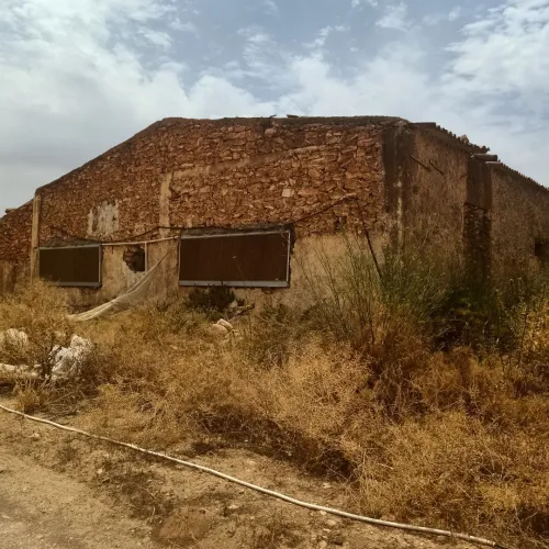 Location Hangar Sidi Bel Abbès Amarnas