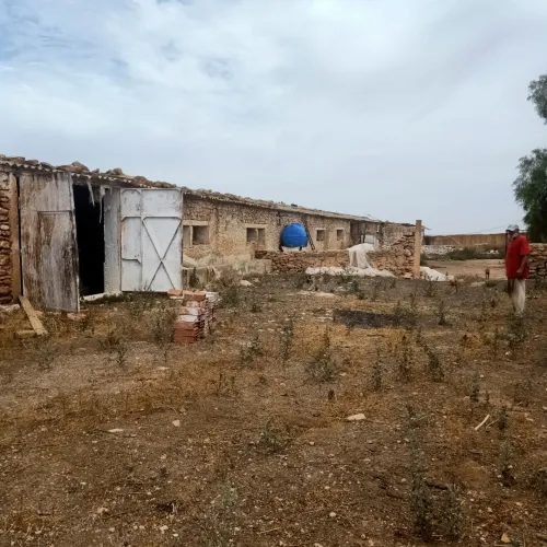Location Hangar Sidi Bel Abbès Amarnas