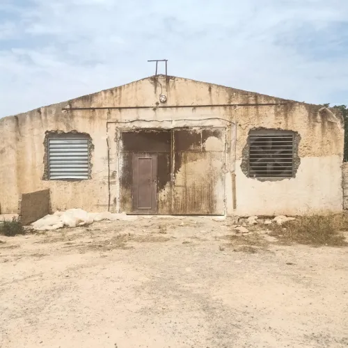 Location Hangar Sidi Bel Abbès Amarnas