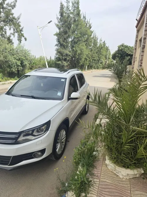 Volkswagen Tiguan 2015 cup