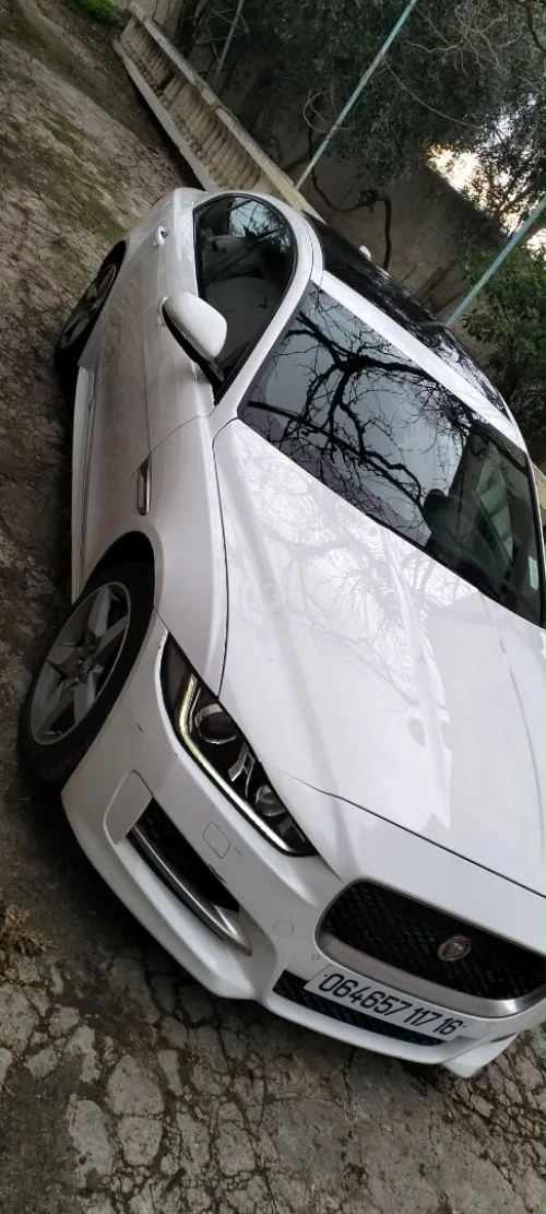 Jaguar Xe R sport 2017 R sport