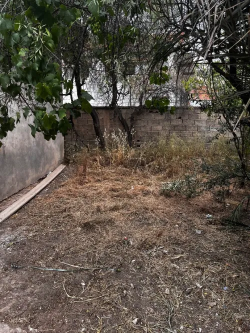 Vente Terrain Sétif Hammam guergour