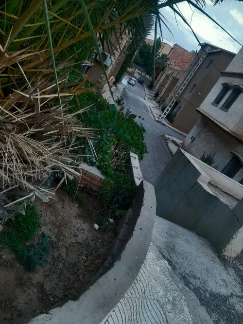 Vente Villa Sidi Bel Abbès Sidi bel abbes