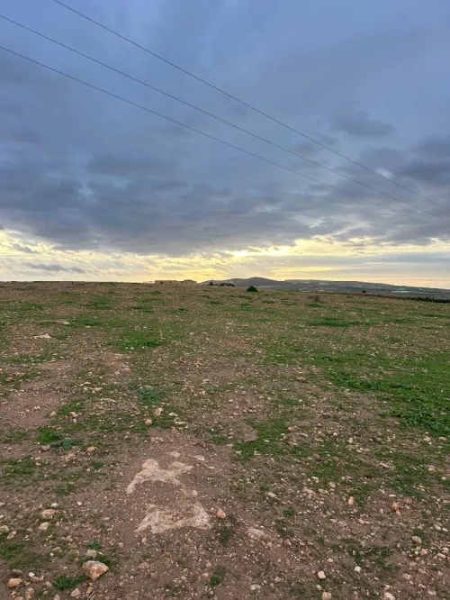 Vente Terrain Agricole Oran Boufatis