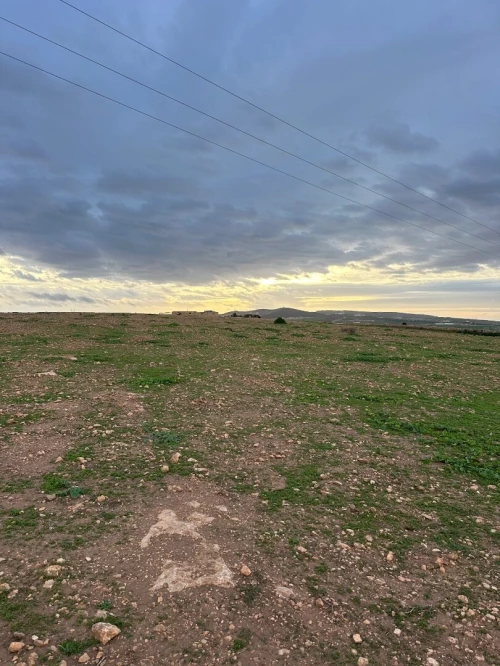 Vente Terrain Agricole Oran Boufatis