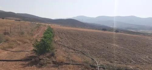 Vente Terrain Agricole Tlemcen Beni semiel