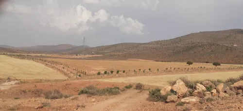 Vente Terrain Agricole Tlemcen Beni semiel