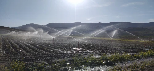Vente Terrain Agricole Tlemcen Beni semiel