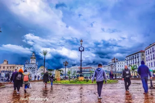 Location Local Alger Alger centre