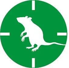 Hygiène publique: dératisation et désinsectisation
