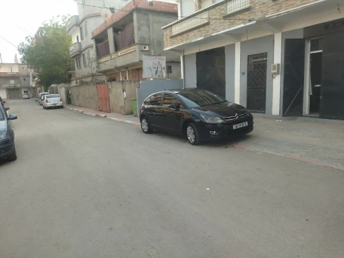Citroen C4 2009 Vitamine
