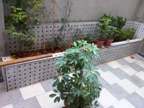 Location Appartement Niveau de villa F3 Alger Cheraga