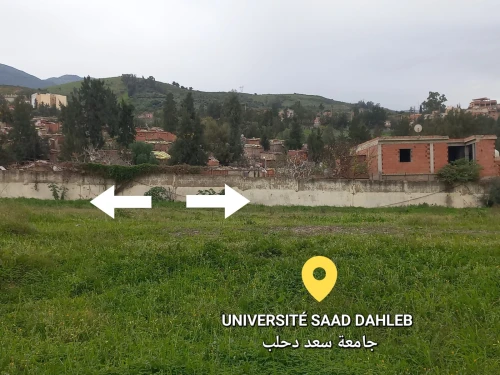 Vente Terrain Blida Ouled yaich