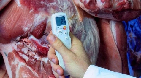 THERMOMETRE POUR VIANDE CONGELEE TESTO