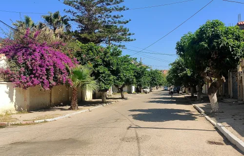 Vente Terrain Alger Bordj el bahri