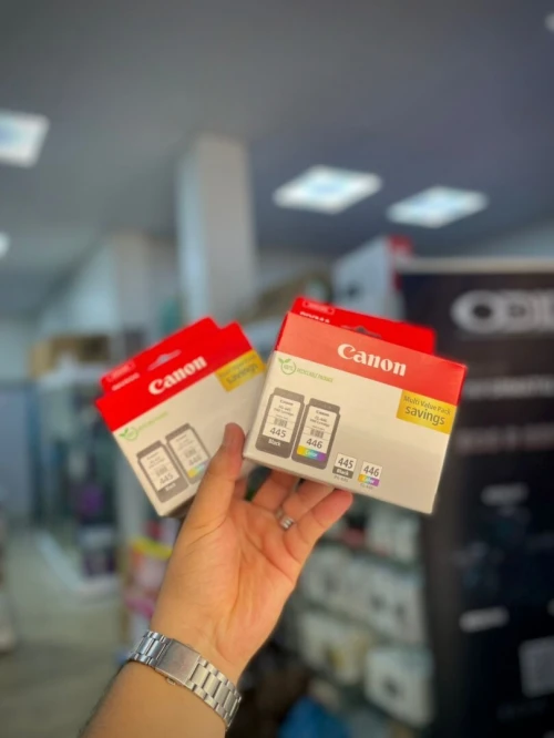 PACK CARTOUCHE CANON COULEUR ORIGINAL PG445/CL446 MG2440/MG2540S