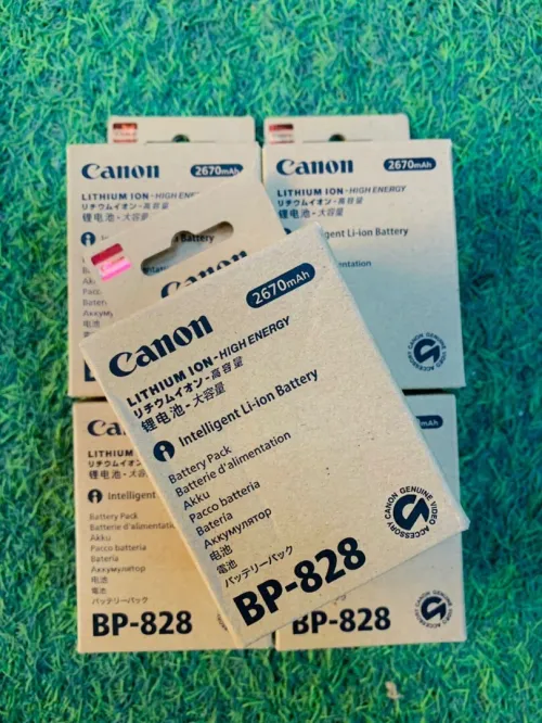BATTERIE CANNON HAUTE CAPACITE BP-828