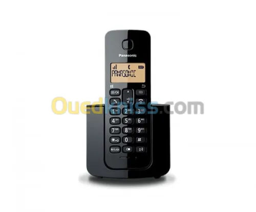 PANASONIC KX-TGB10AF