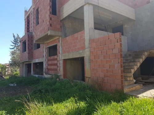 Vente bien immobilier Blida Blida
