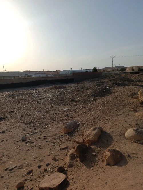 Vente Terrain Biskra Biskra