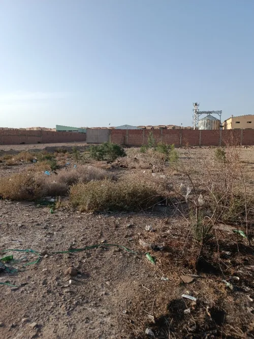 Vente Terrain Biskra Biskra